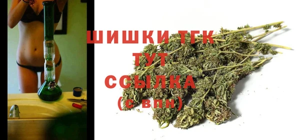 дурь Горняк