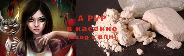 стафф Горно-Алтайск