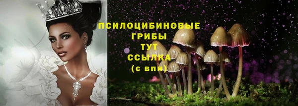 дурь Горняк