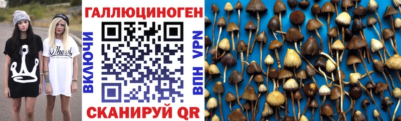 hydra ссылка  Певек  Галлюциногенные грибы Cubensis  магазин продажи  